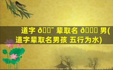 道字 🐯 辈取名 🐕 男(道字辈取名男孩 五行为水)